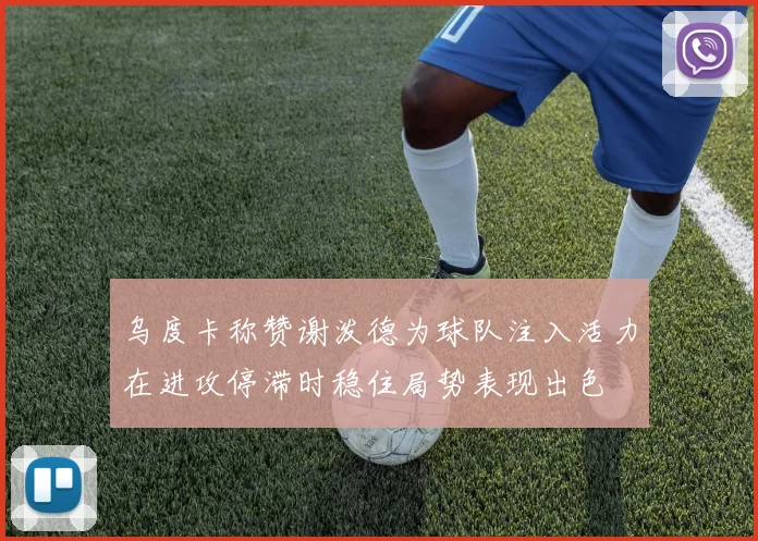 乌度卡称赞谢泼德为球队注入活力在进攻停滞时稳住局势表现出色