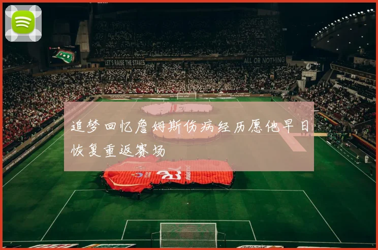 追梦回忆詹姆斯伤病经历愿他早日恢复重返赛场