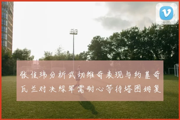 张佳玮分析武切维奇表现与约基奇瓦兰对决绿军需耐心等待塔图姆复出